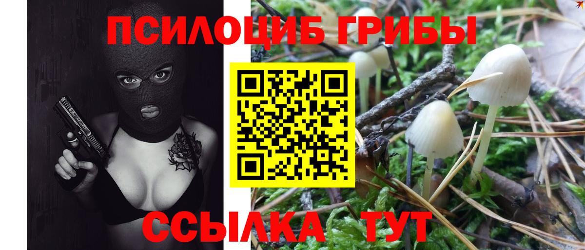 Галлюциногенные грибы мицелий Новокуйбышевск